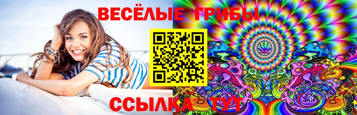 Псилоцибиновые грибы MAGIC MUSHROOMS  Вход с VPN  Елец 